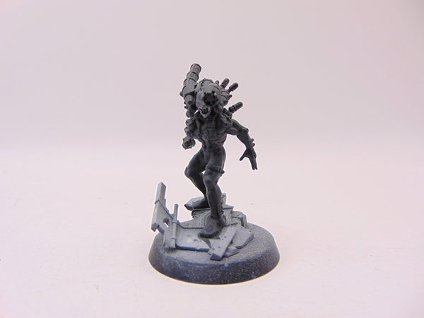 Culexus Assassin