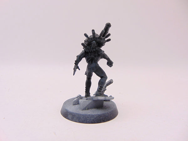 Culexus Assassin