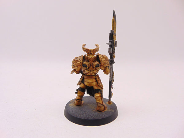Shield Captain Valerian