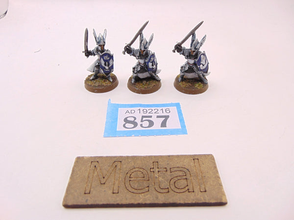 Swan Knights of Dol Amroth