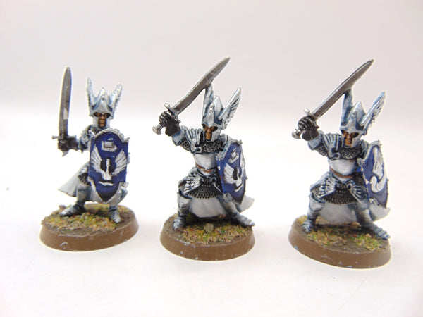 Swan Knights of Dol Amroth