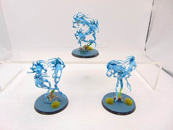 Spirit Hosts