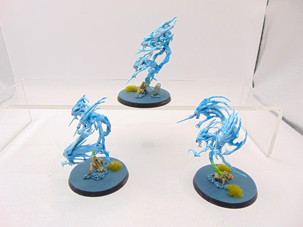 Spirit Hosts