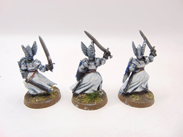 Swan Knights of Dol Amroth