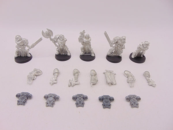 Space Marine Veterans