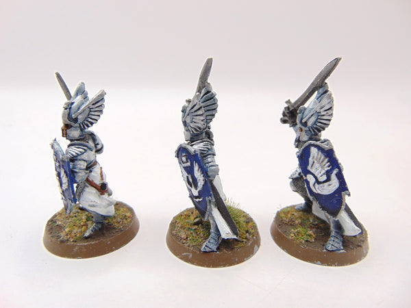 Swan Knights of Dol Amroth