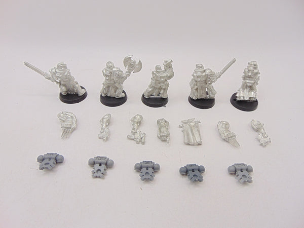 Space Marine Veterans