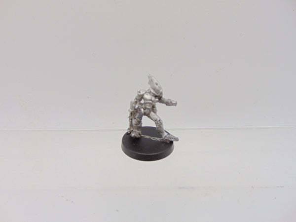 Eldar Guardian / RTO4 Space Elves Gaedhil Quickshadow