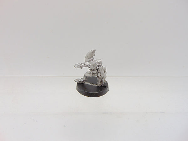 Eldar Guardian / RTO4 Space Elves Gaedhil Quickshadow