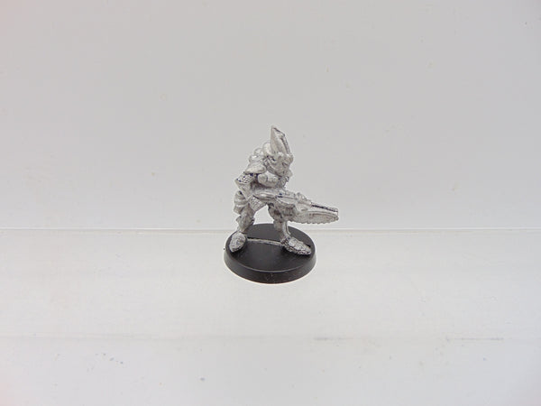 Space Elf Standard Bearer Menhe Worldsong