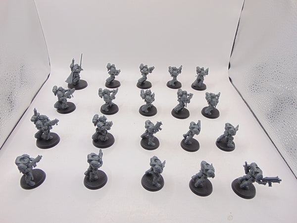 Primaris Crusader Squad