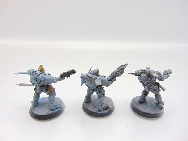 Reivers