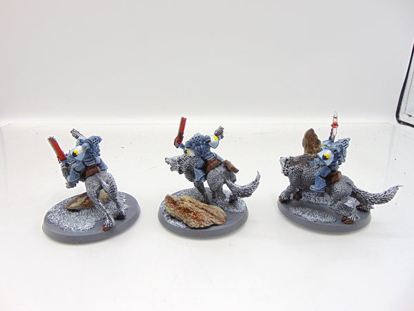 Thunderwolf Cavalry