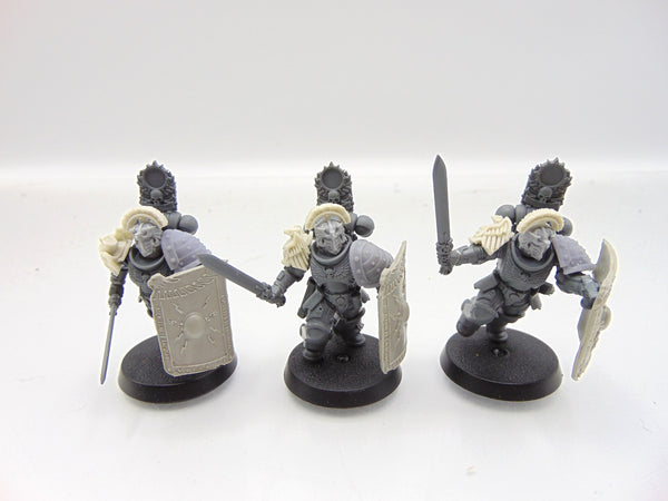 Bladeguard Veterans Conversion