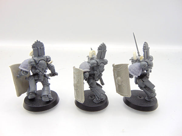 Bladeguard Veterans Conversion