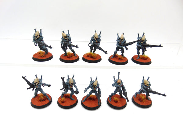Guardian Defenders