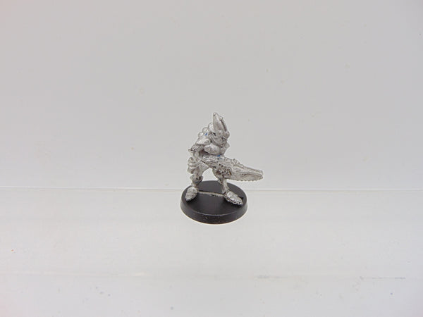 Space Elves Menhe Worldsong / Eldar Guardians Standard Bearer