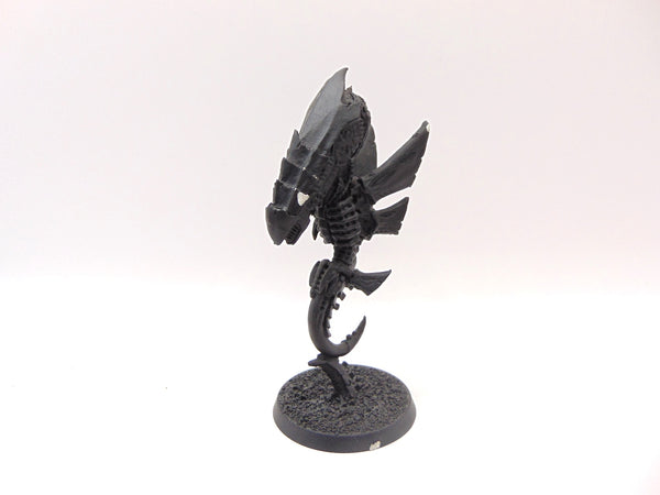 Zoanthrope