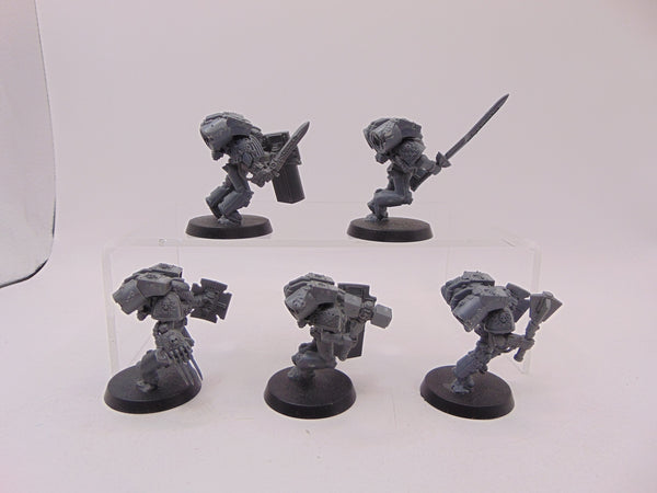 Vanguard Veterans