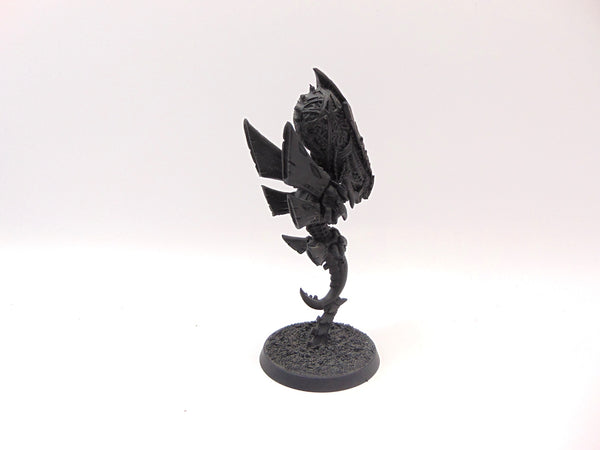 Zoanthrope