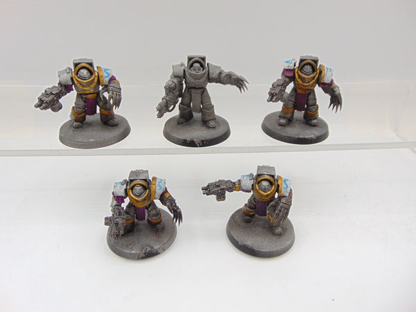 Cataphractii Terminator Squad