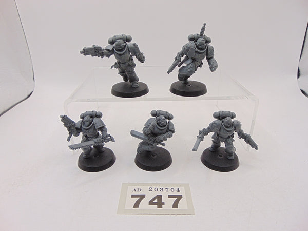 Assault Intercessors