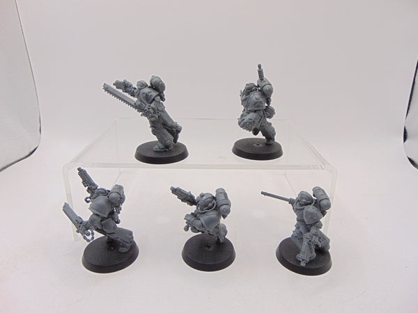 Assault Intercessors