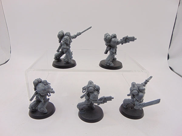 Assault Intercessors
