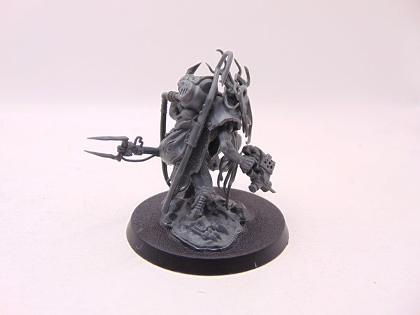 Zodgrod Wortsnagga