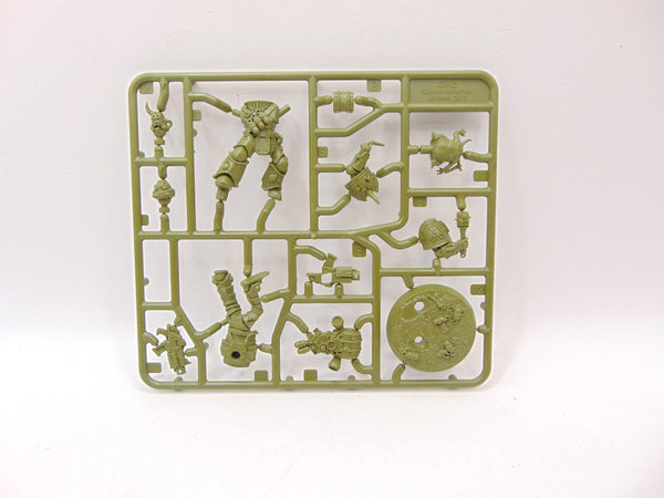 Kholerus