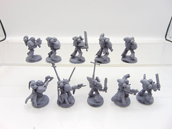 Tactical Squad