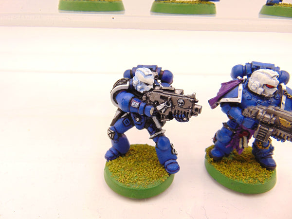 Sternguard Veterans