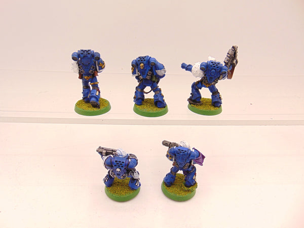Sternguard Veterans