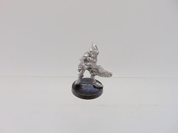 Space Elves Menhe Worldsong / Eldar Guardians Standard Bearer