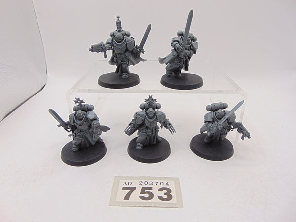 Primaris Sword Brethren