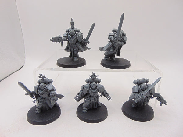 Primaris Sword Brethren