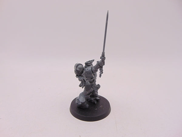 The Emperor's Champion