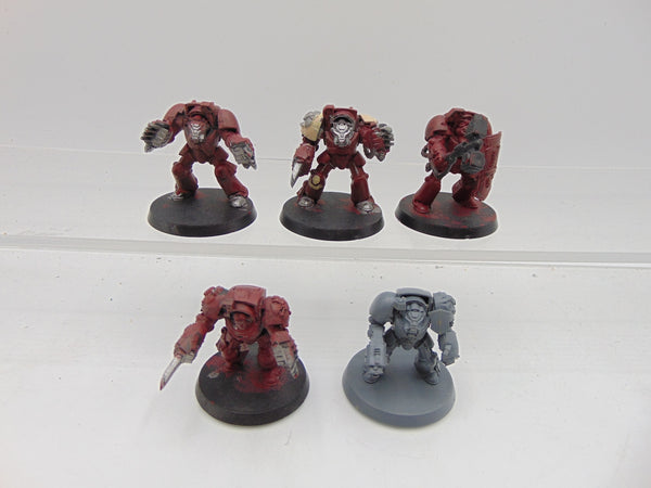 Terminator Assault Squad