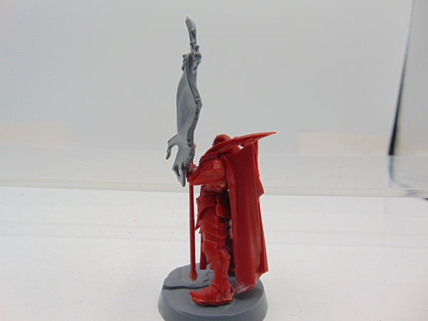 Vampire Lord with Banner Conversion