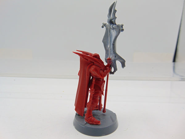 Vampire Lord with Banner Conversion