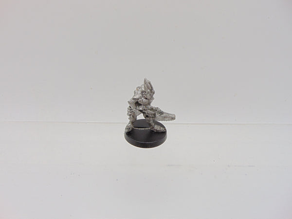 Space Elves Menhe Worldsong / Eldar Guardians Standard Bearer