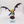 Winged Hive Tyrant