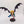 Winged Hive Tyrant