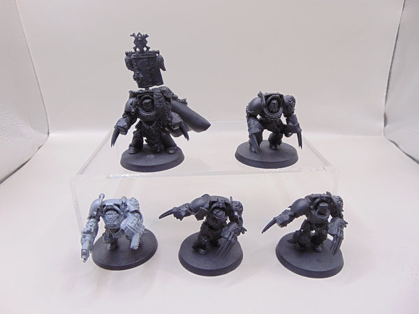 Wolf Guard Terminators