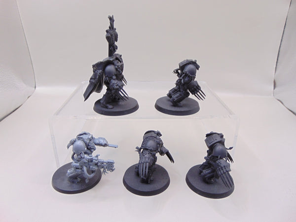 Wolf Guard Terminators