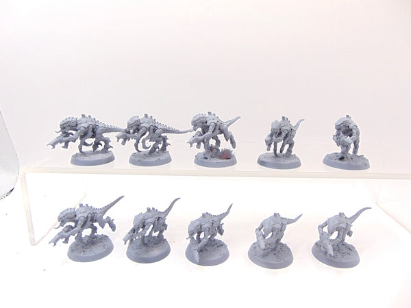 Termagants