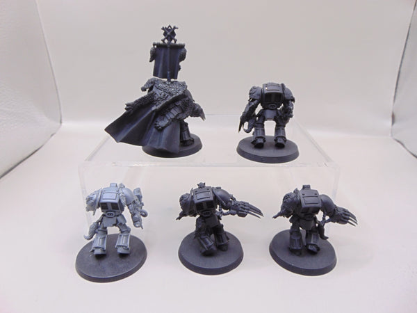 Wolf Guard Terminators