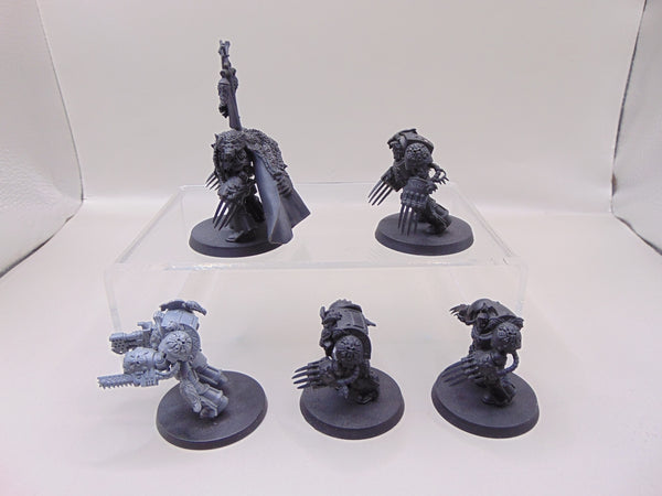 Wolf Guard Terminators