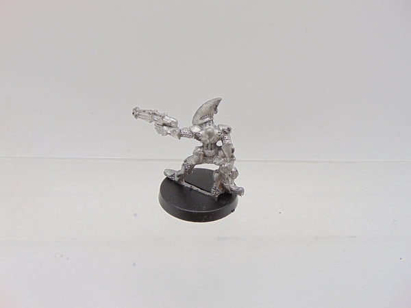 Eldar Guardian / RTO4 Space Elves Gaedhil Quickshadow