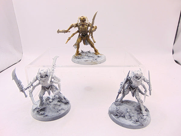 Necropolis Stalkers